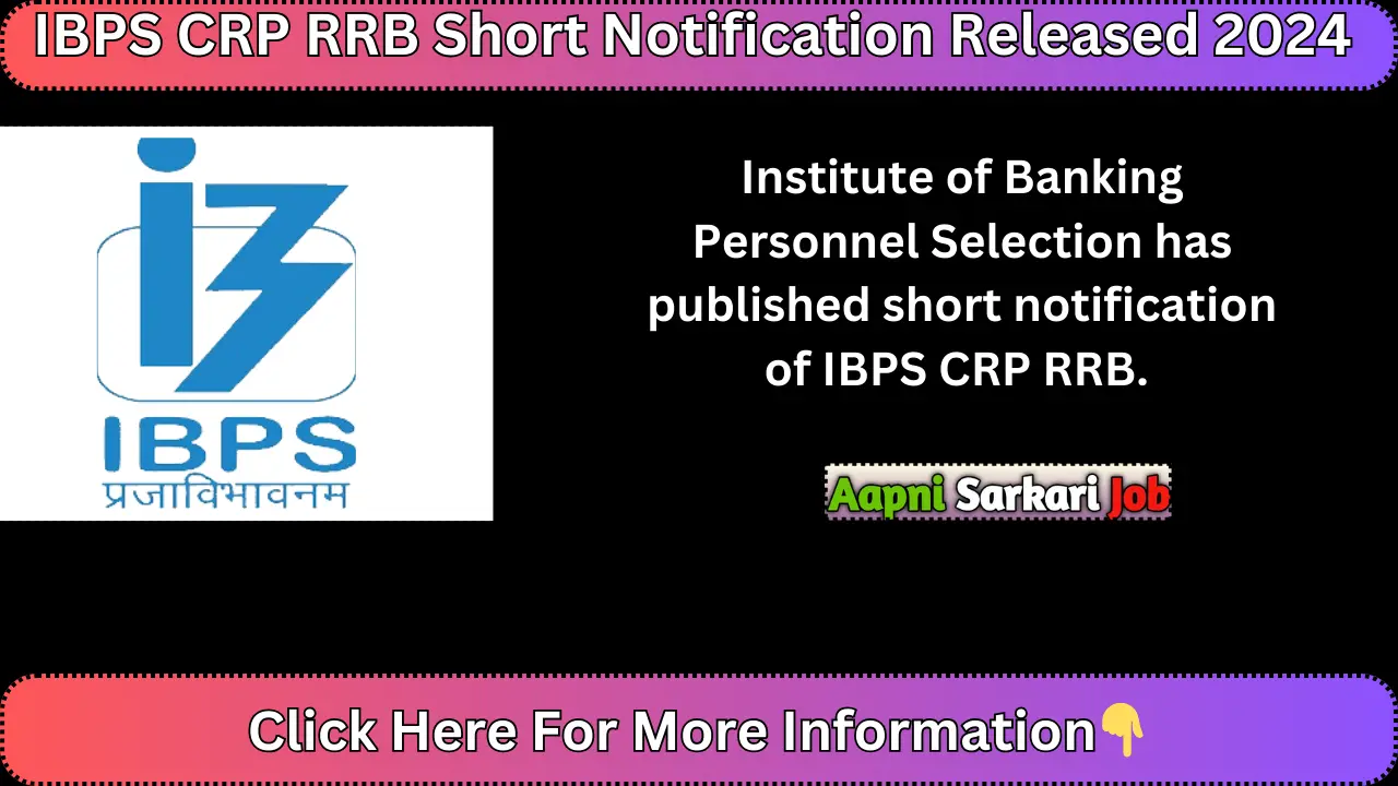 IBPS CRP RRB Short Notification Released 2024