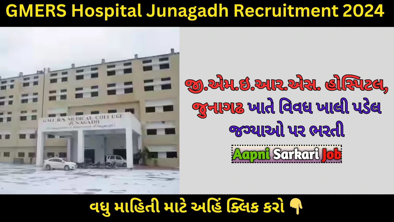 GMERS Hospital Junagadh Recruitment 2024