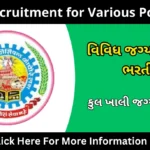 BMC Recruitment for Various Post 2024